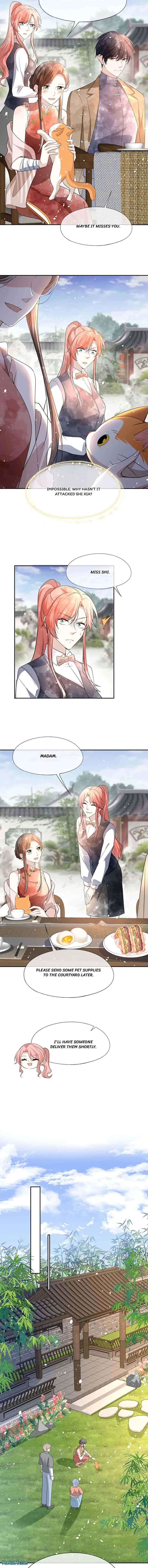 Page 4 of Chapter 312