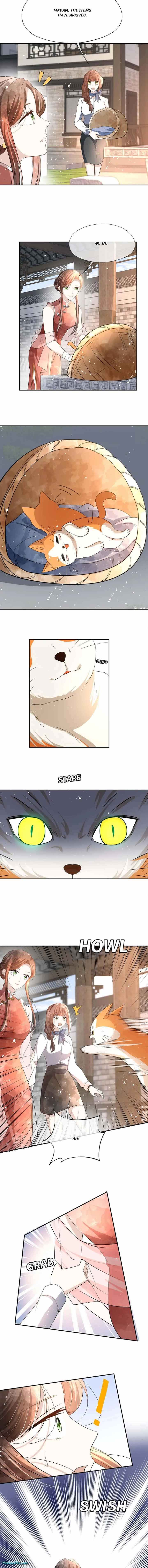 Page 5 of Chapter 312