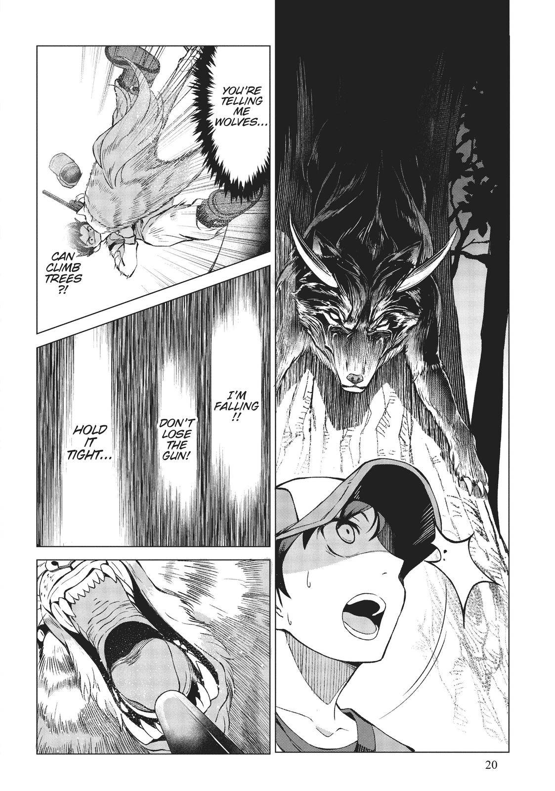 Page 20 of Chapter 1