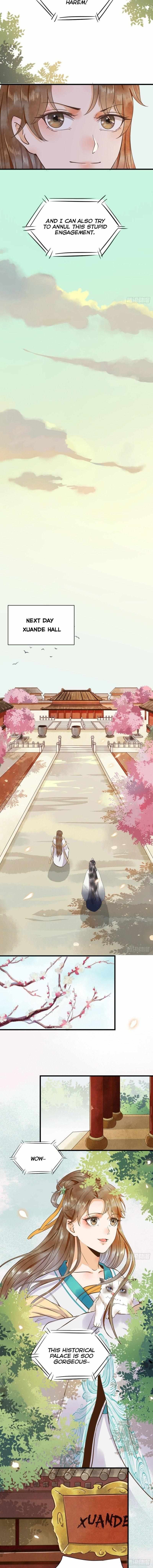 Page 5 of Chapter 5