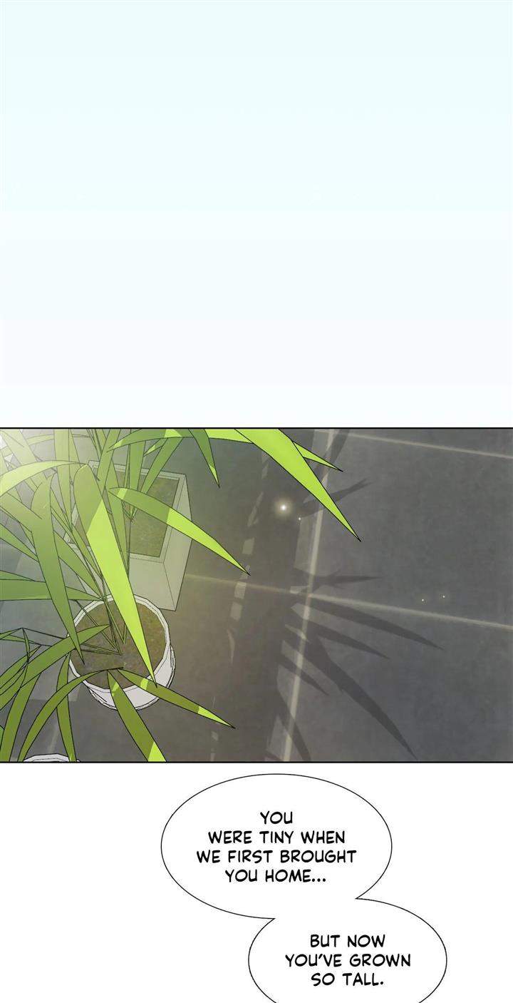 Page 41 of Chapter 165
