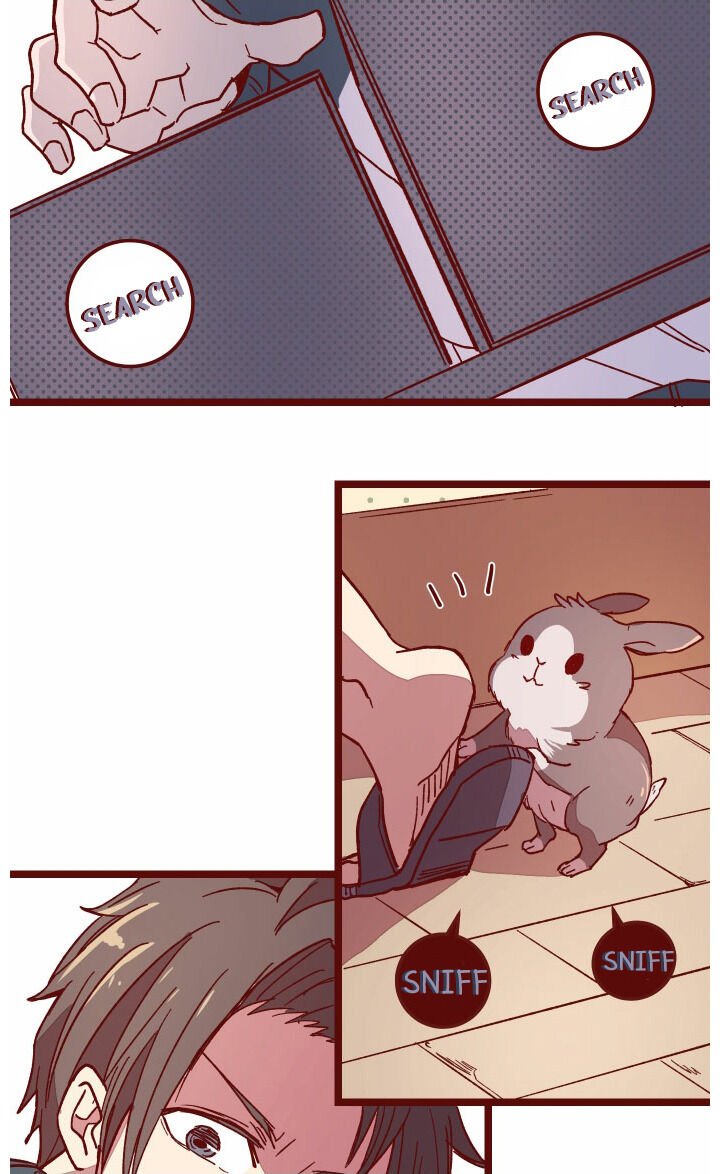 Page 38 of Chapter 12