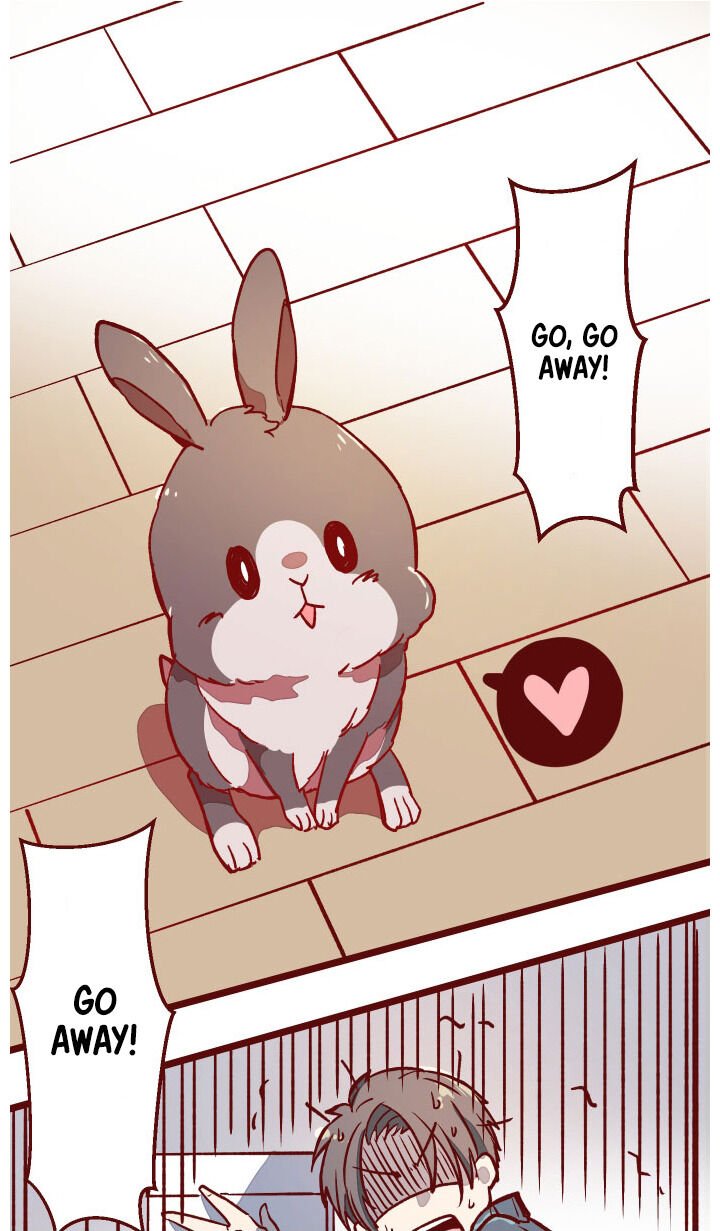 Page 3 of Chapter 13