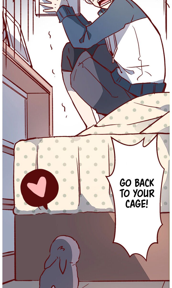 Page 4 of Chapter 13