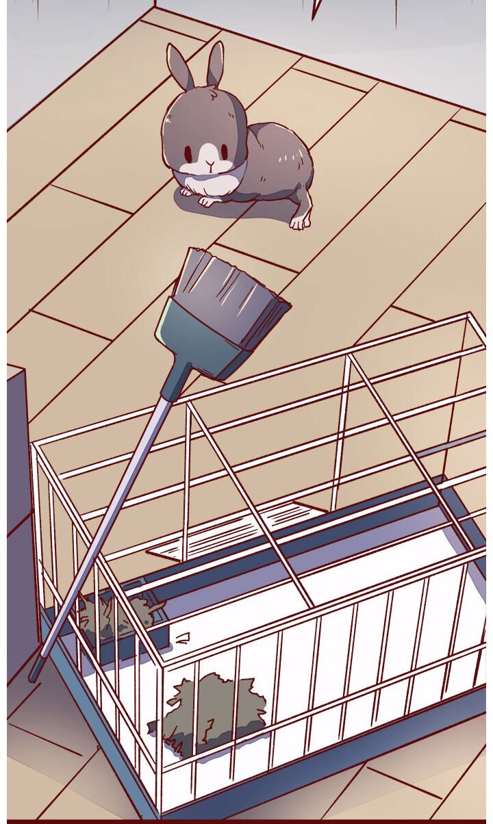 Page 8 of Chapter 13