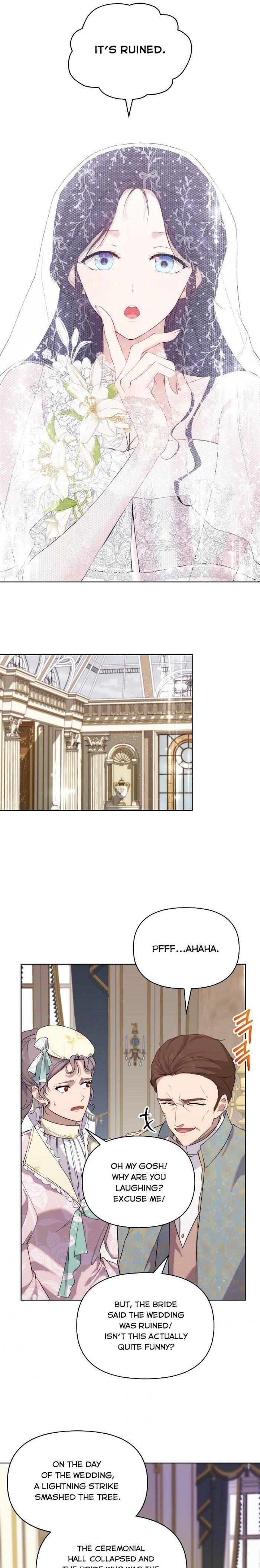 Page 17 of Chapter 35