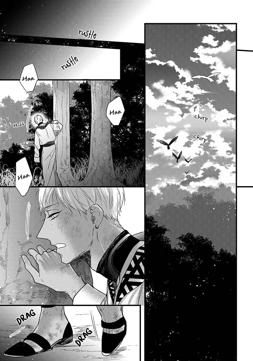 Page 20 of Chapter 15