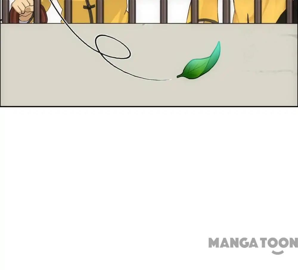 Page 31 of Chapter 115