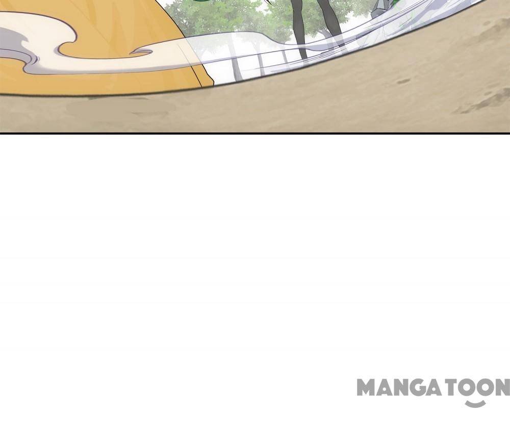 Page 41 of Chapter 260