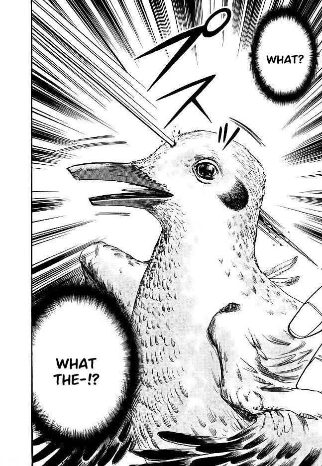 Page 23 of Chapter 50