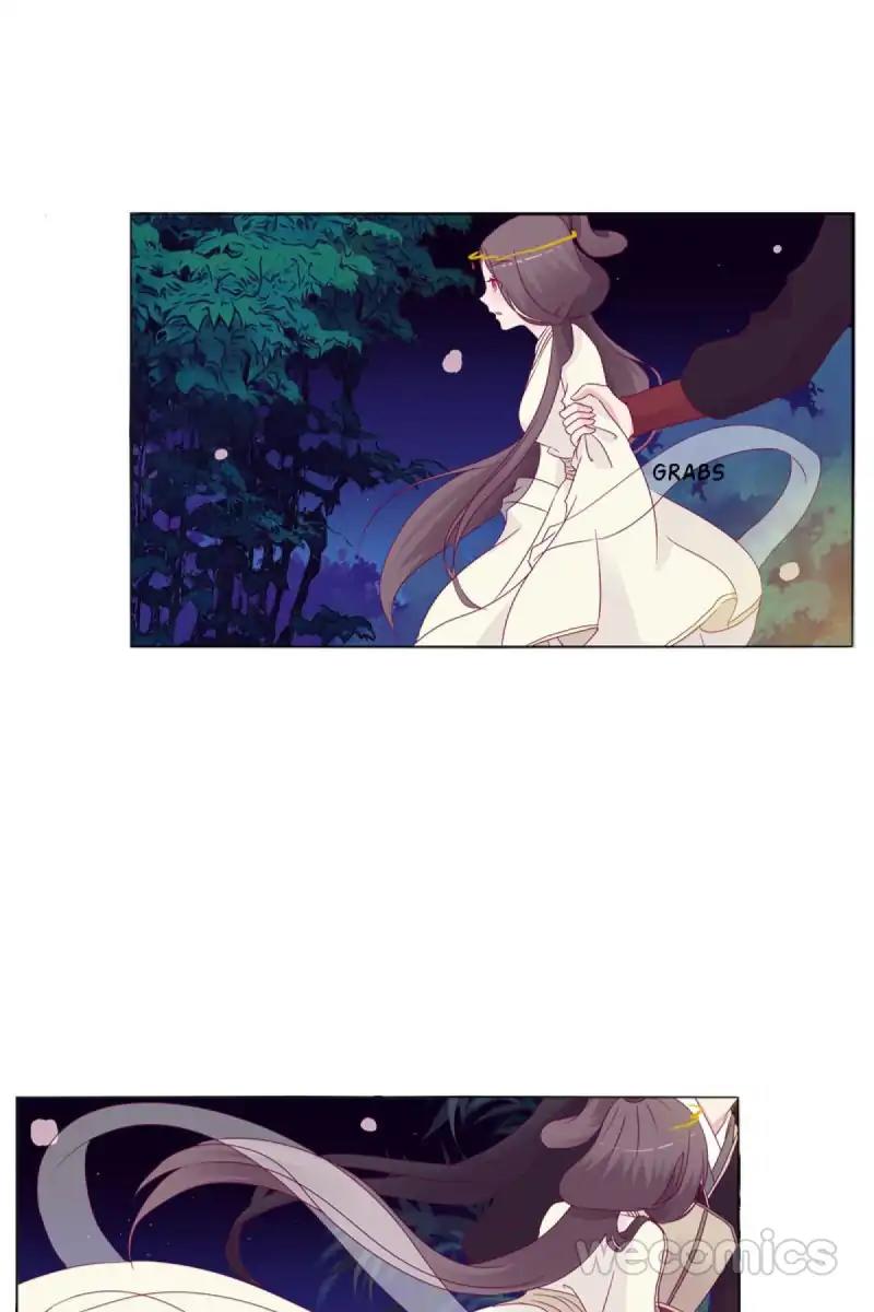 Page 13 of Chapter 11