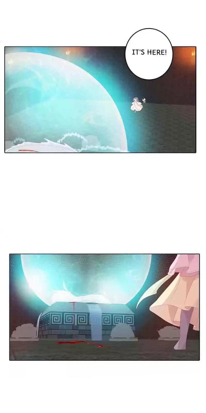 Page 4 of Chapter 40