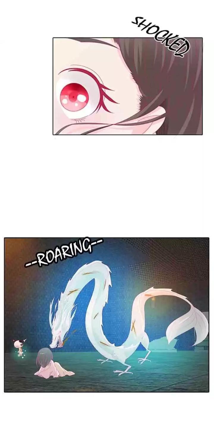 Page 13 of Chapter 40