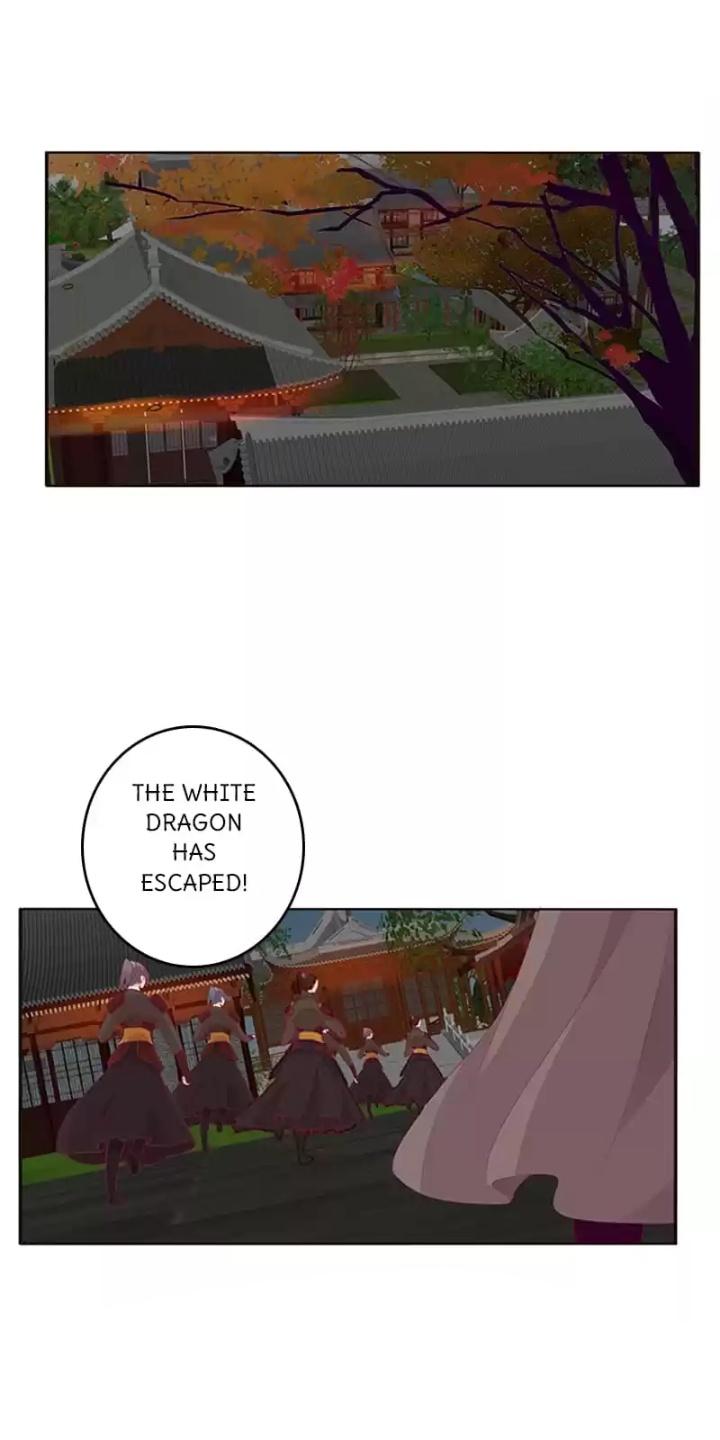Page 19 of Chapter 41