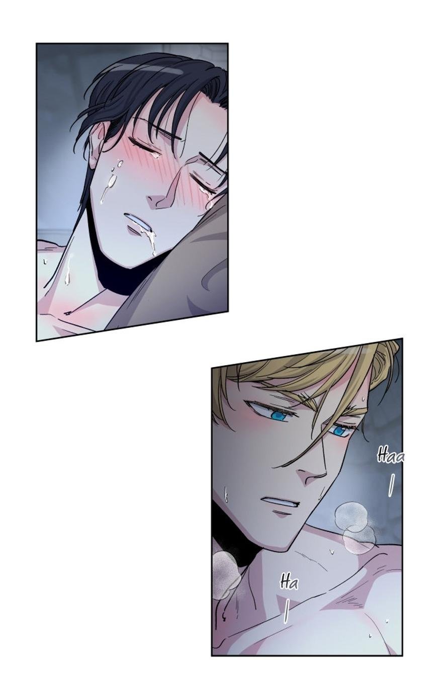 Page 39 of Chapter 28