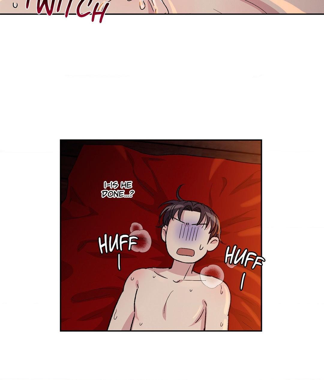 Page 17 of Chapter 95