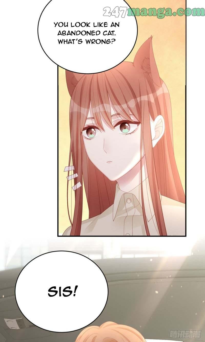 Page 20 of Chapter 75