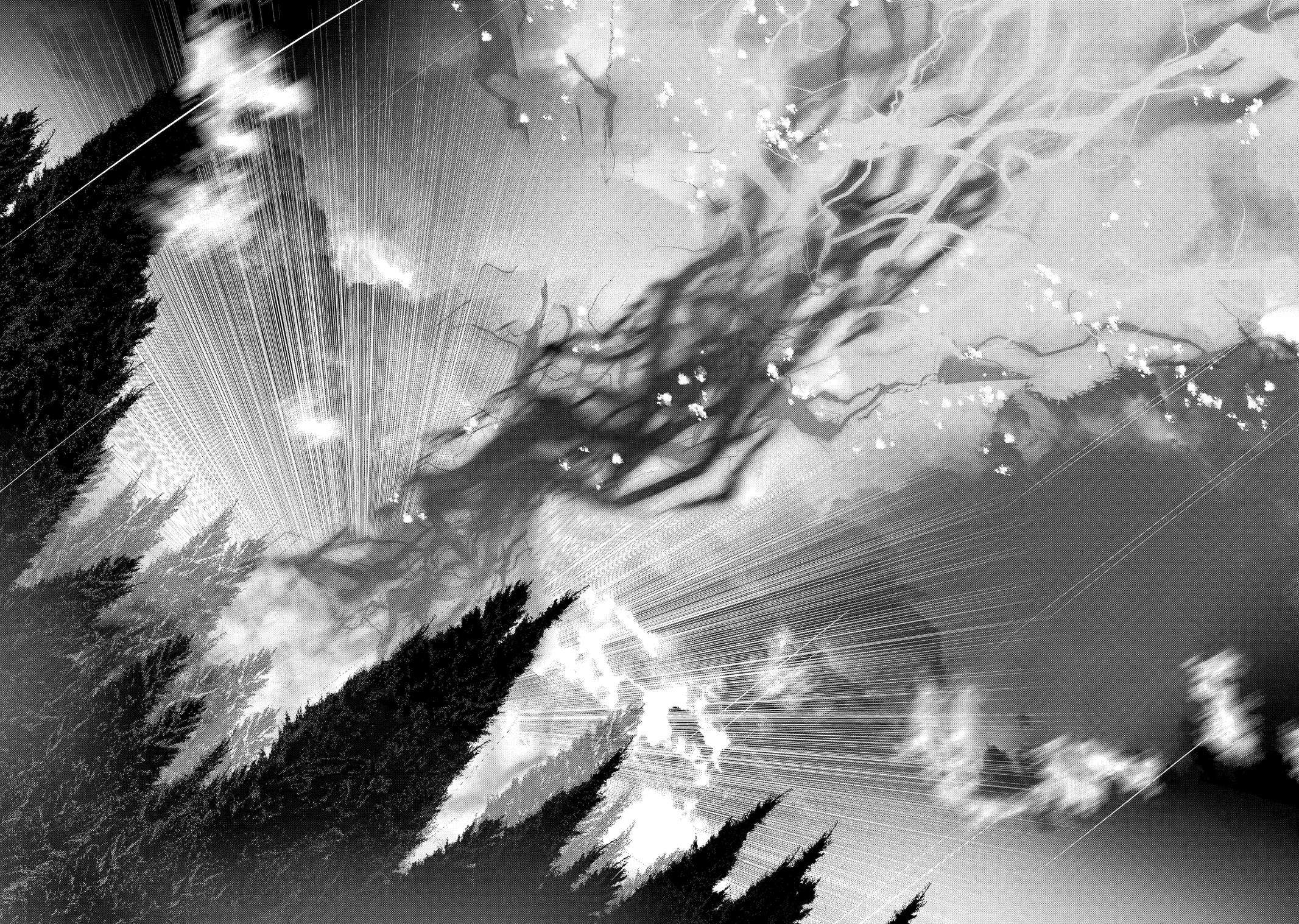 Page 8 of Chapter 39