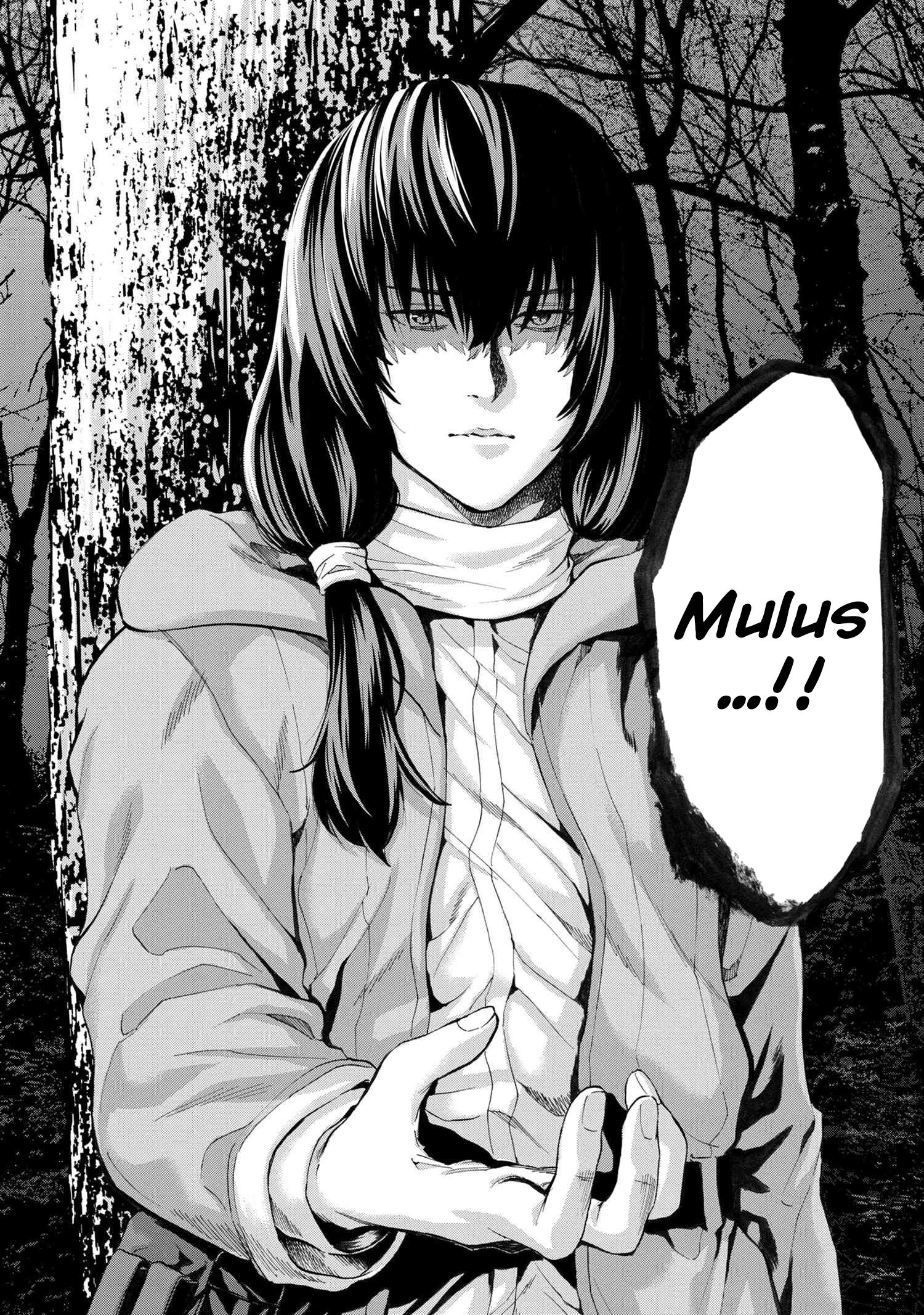 Page 12 of Chapter 11.3