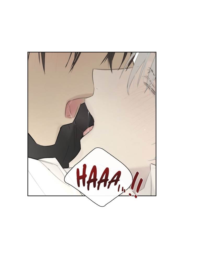 Page 41 of Chapter 44