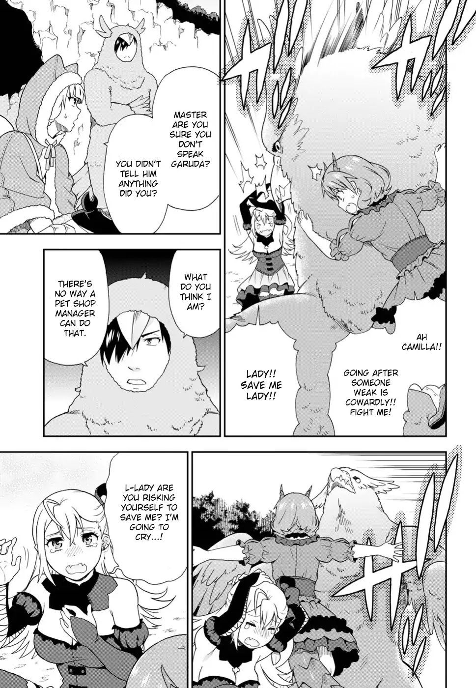 Page 17 of Chapter 15