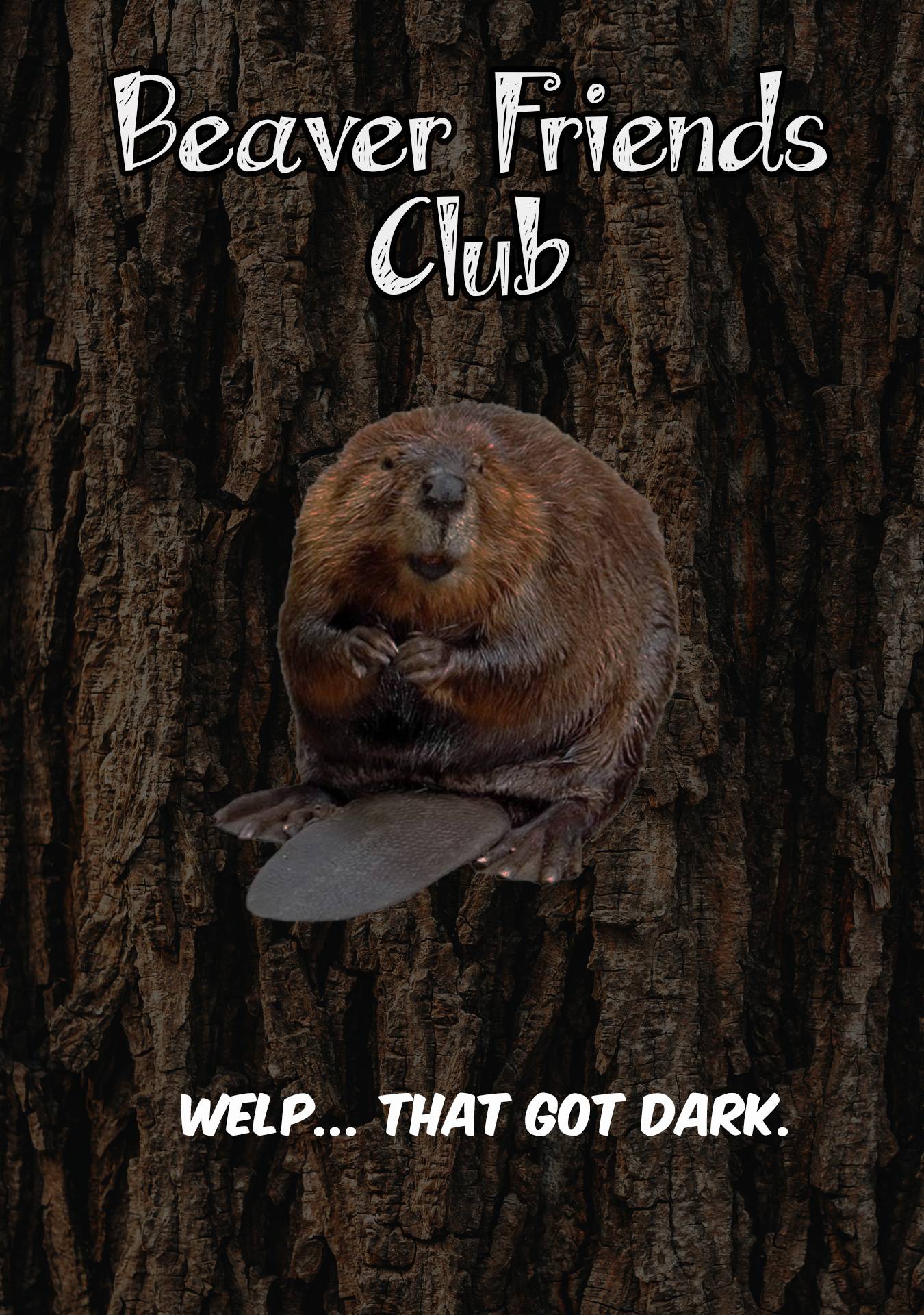 Page 13 of Chapter 5