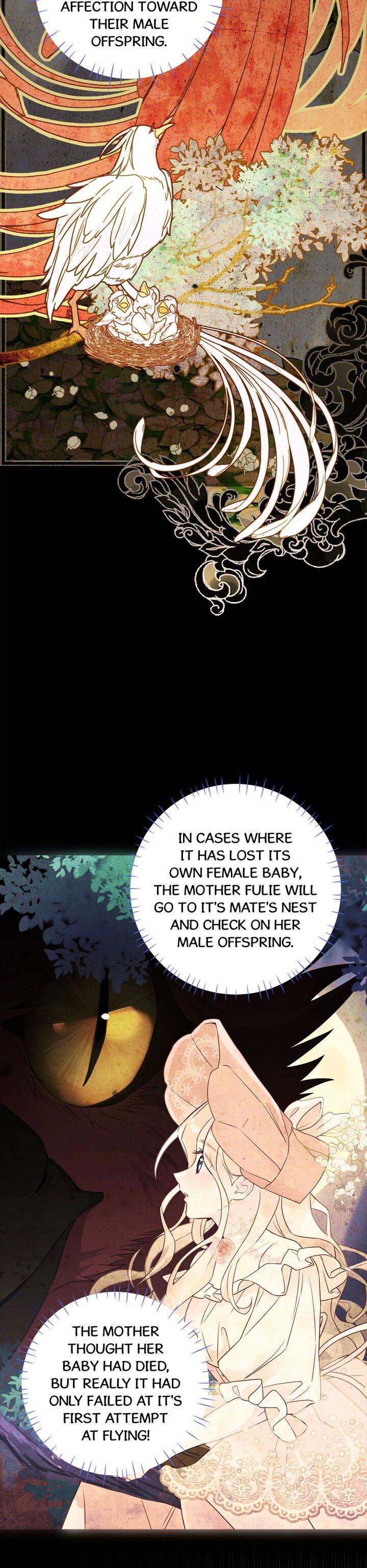 Page 17 of Chapter 12
