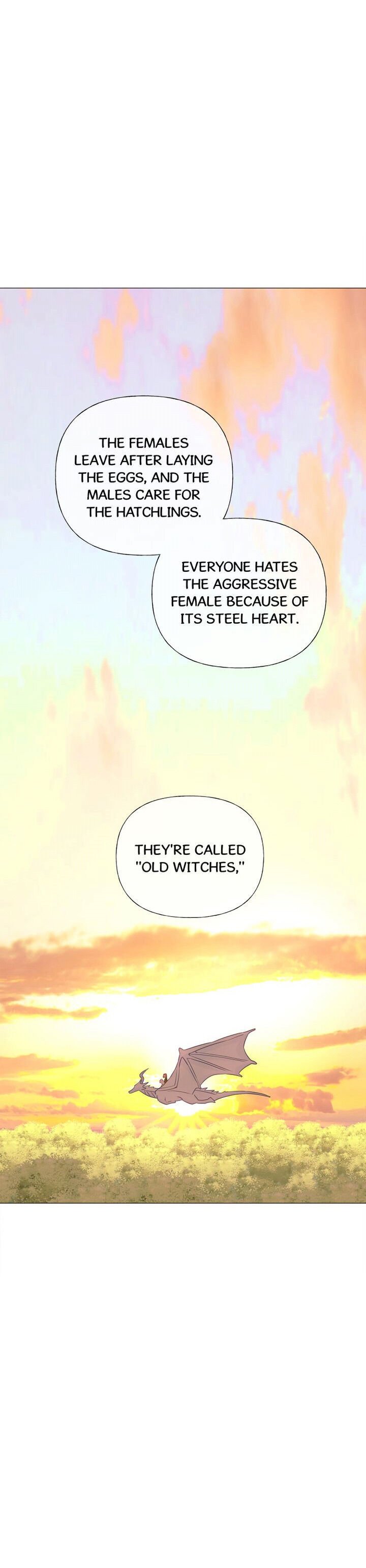 Page 38 of Chapter 13