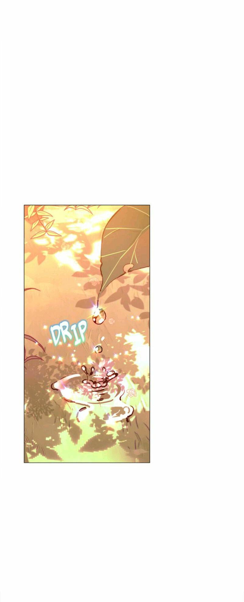 Page 23 of Chapter 28