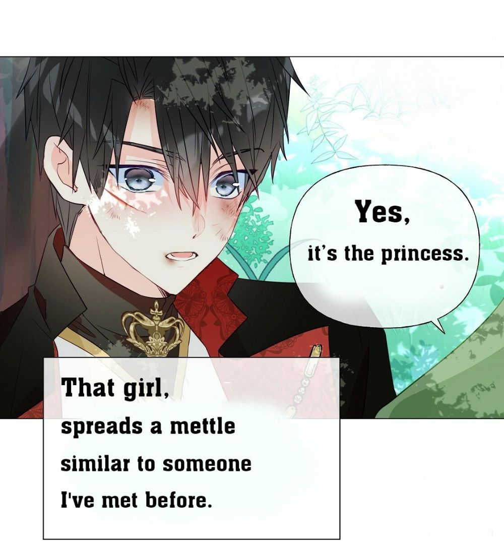 Page 29 of Chapter 33