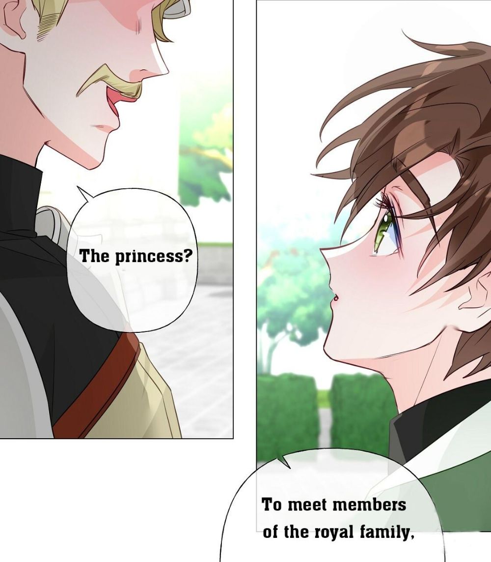 Page 42 of Chapter 33