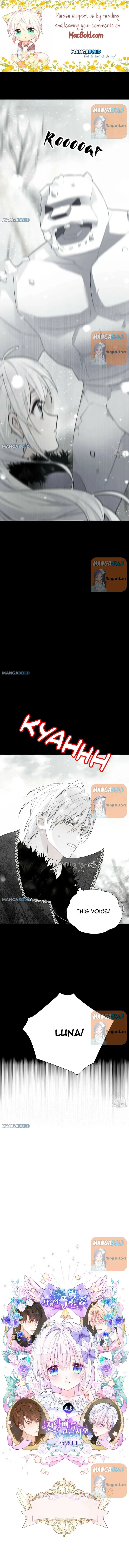Page 1 of Chapter 43