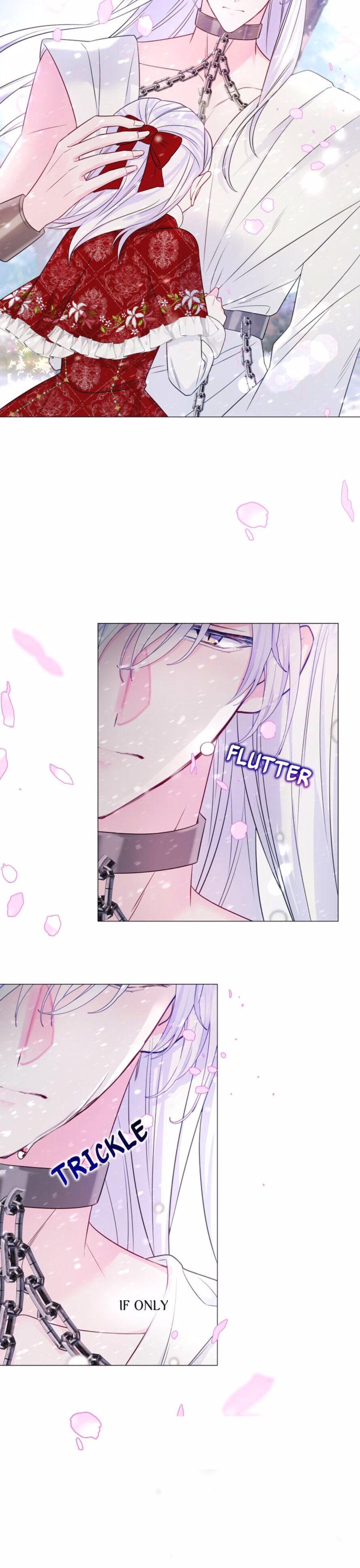 Page 41 of Chapter 52