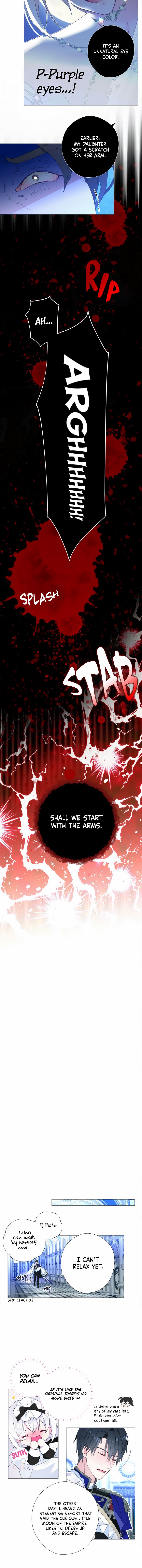 Page 8 of Chapter 6