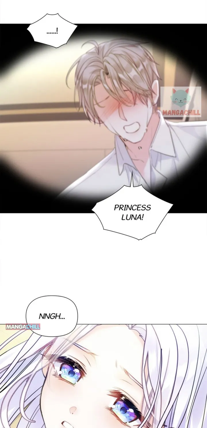 Page 54 of Chapter 62