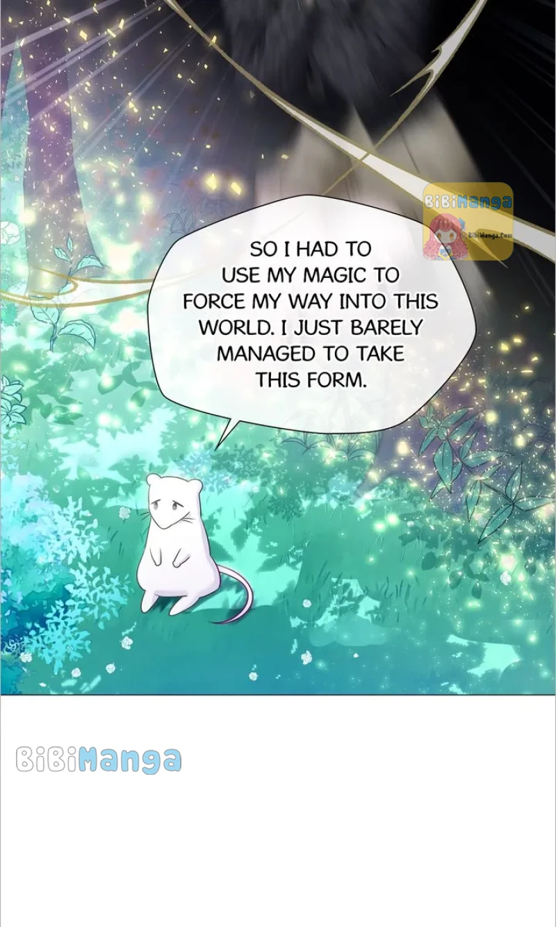 Page 41 of Chapter 85