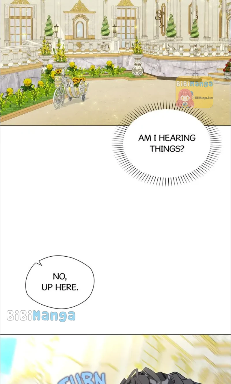 Page 68 of Chapter 88