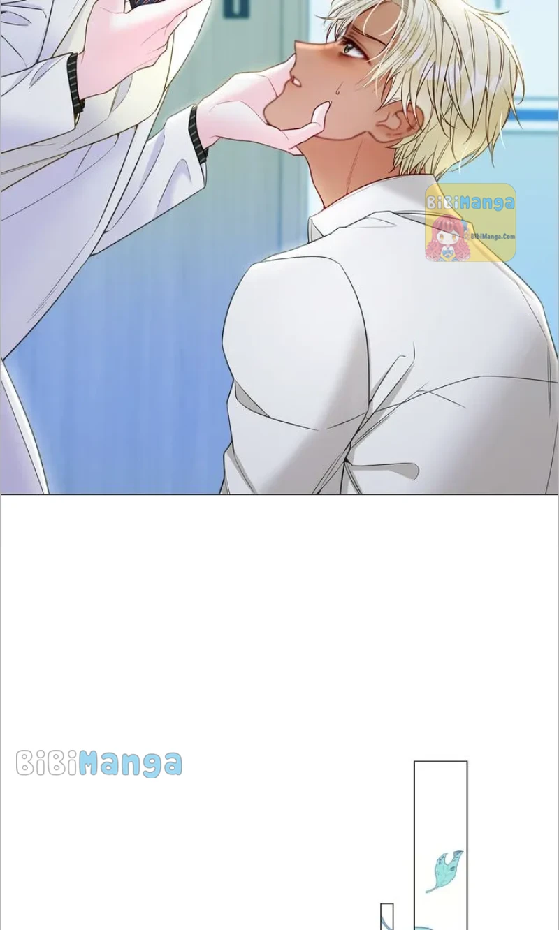 Page 51 of Chapter 90