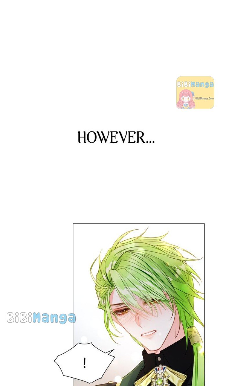 Page 40 of Chapter 95