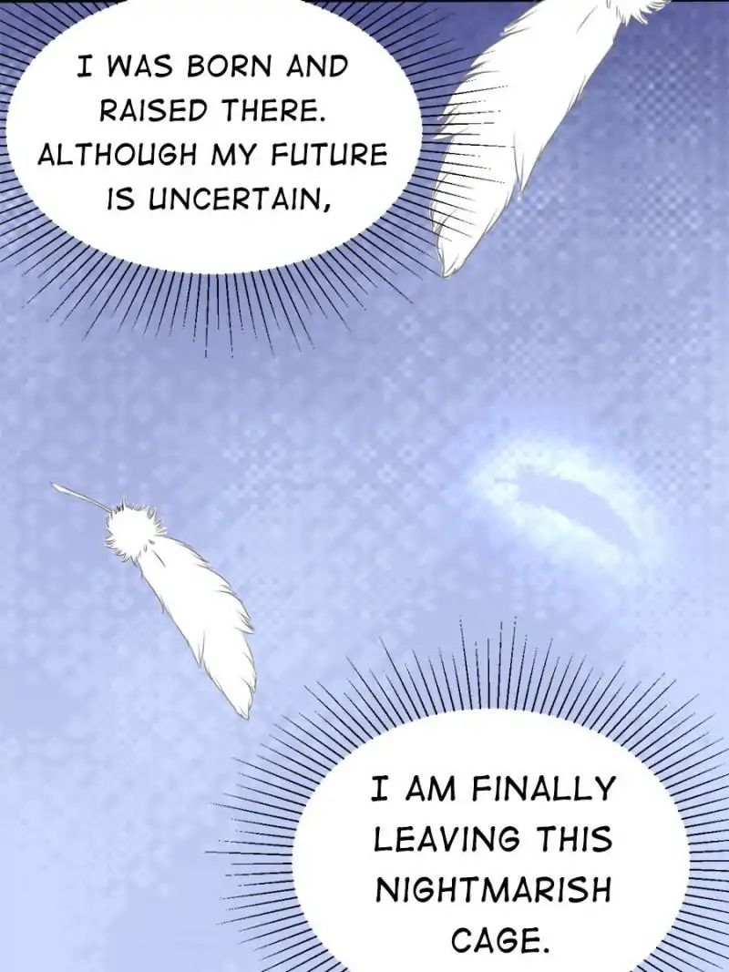 Page 42 of Chapter 41