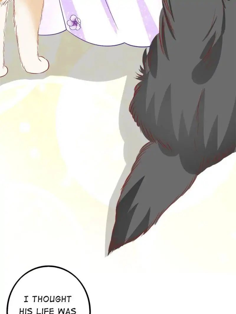 Page 30 of Chapter 43
