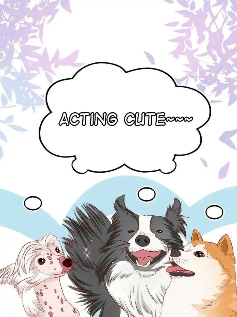 Page 32 of Chapter 43