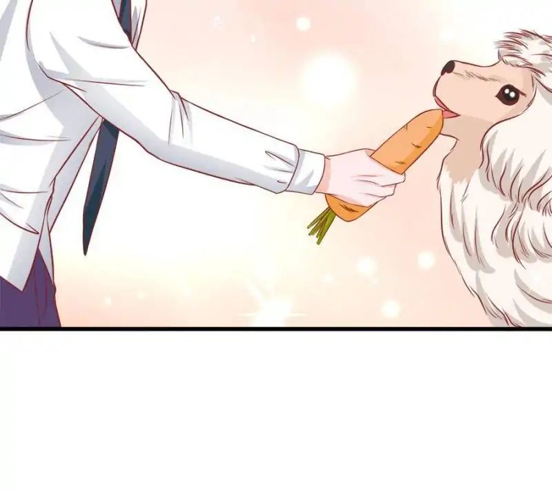 Page 41 of Chapter 43