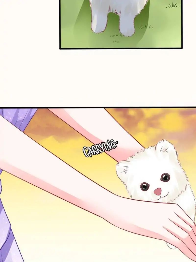 Page 17 of Chapter 44