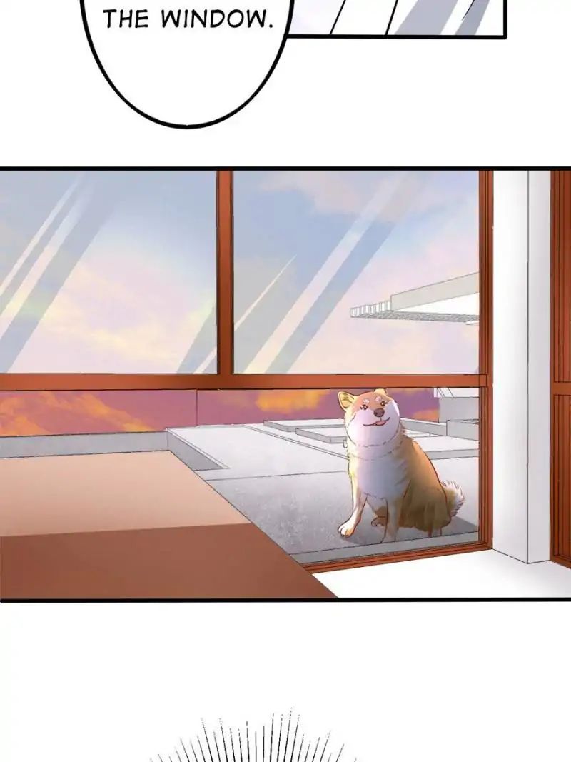 Page 37 of Chapter 44