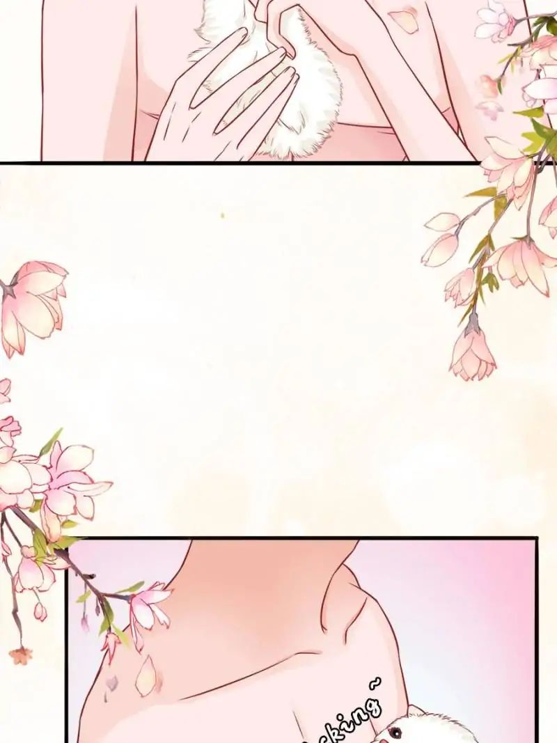 Page 3 of Chapter 48
