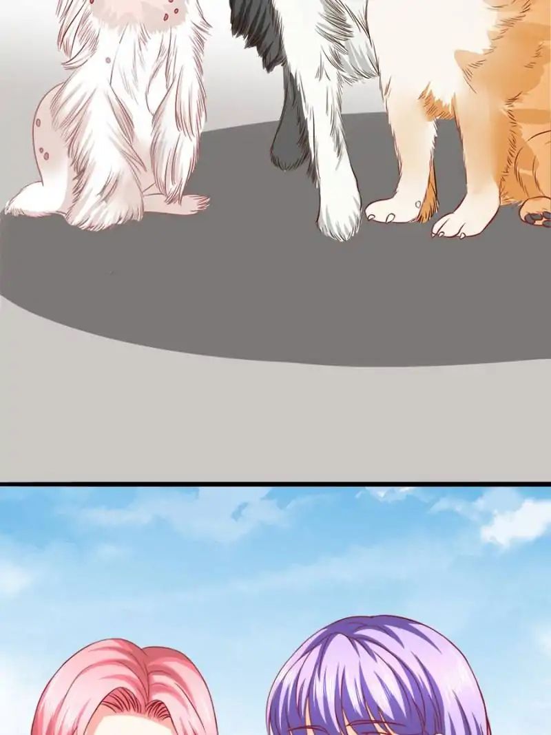 Page 28 of Chapter 49