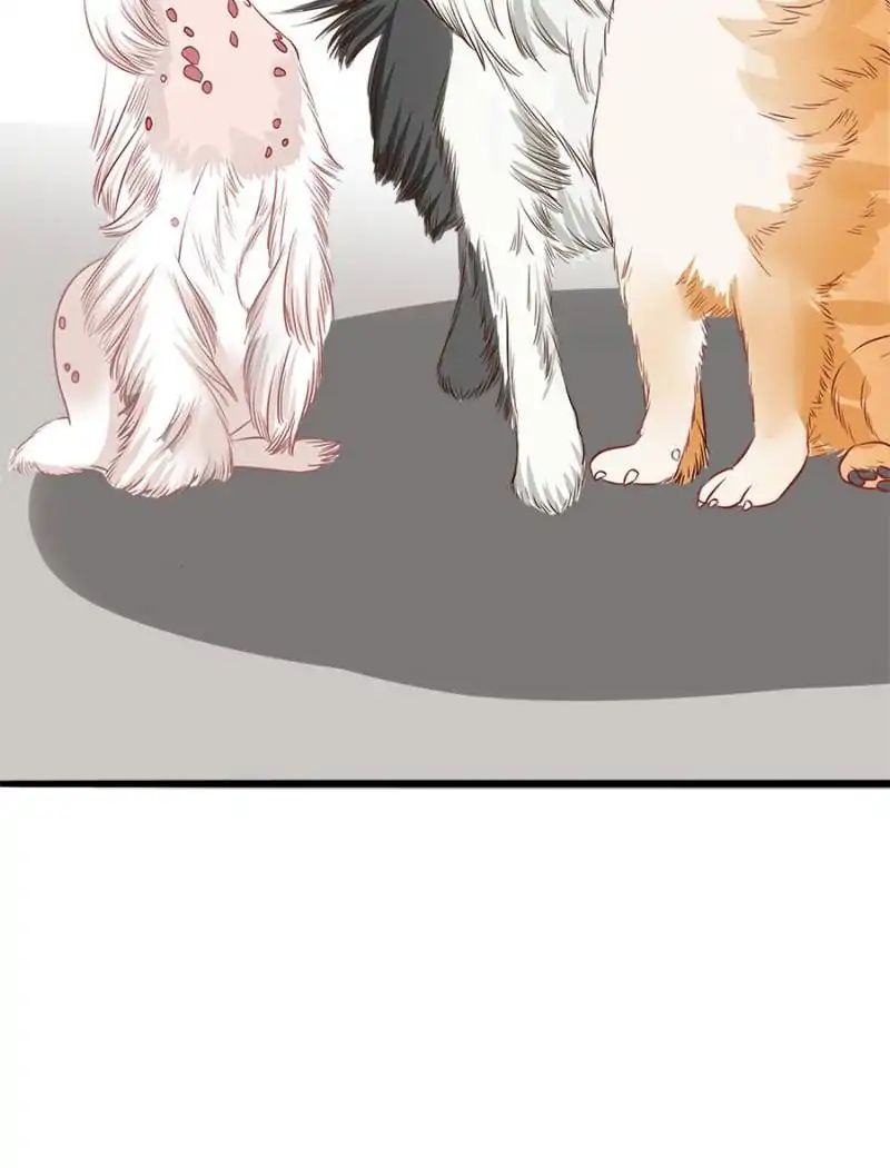 Page 31 of Chapter 49