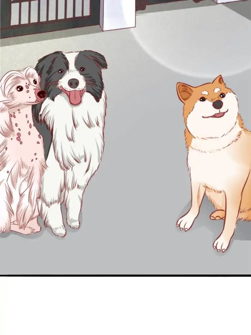 Page 3 of Chapter 50