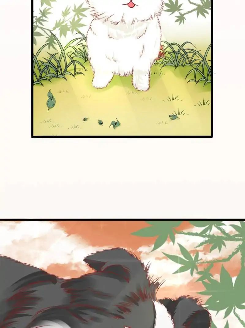 Page 2 of Chapter 55
